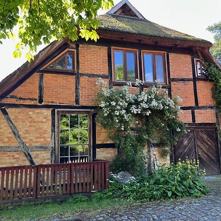 Pfarrhaus Tollensesee Penzlin Zewnętrze zdjęcie