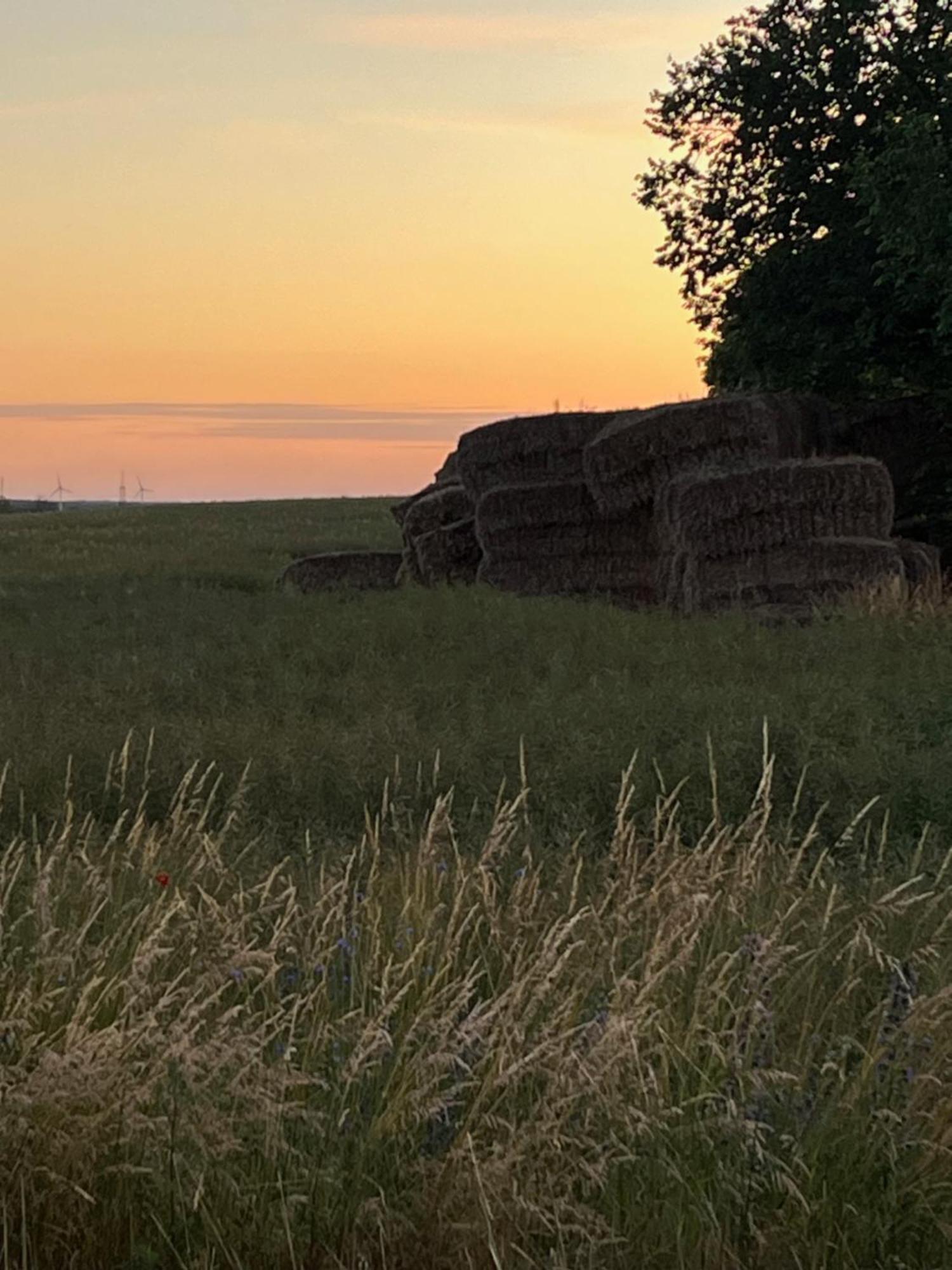 Pfarrhaus Tollensesee Penzlin Zewnętrze zdjęcie
