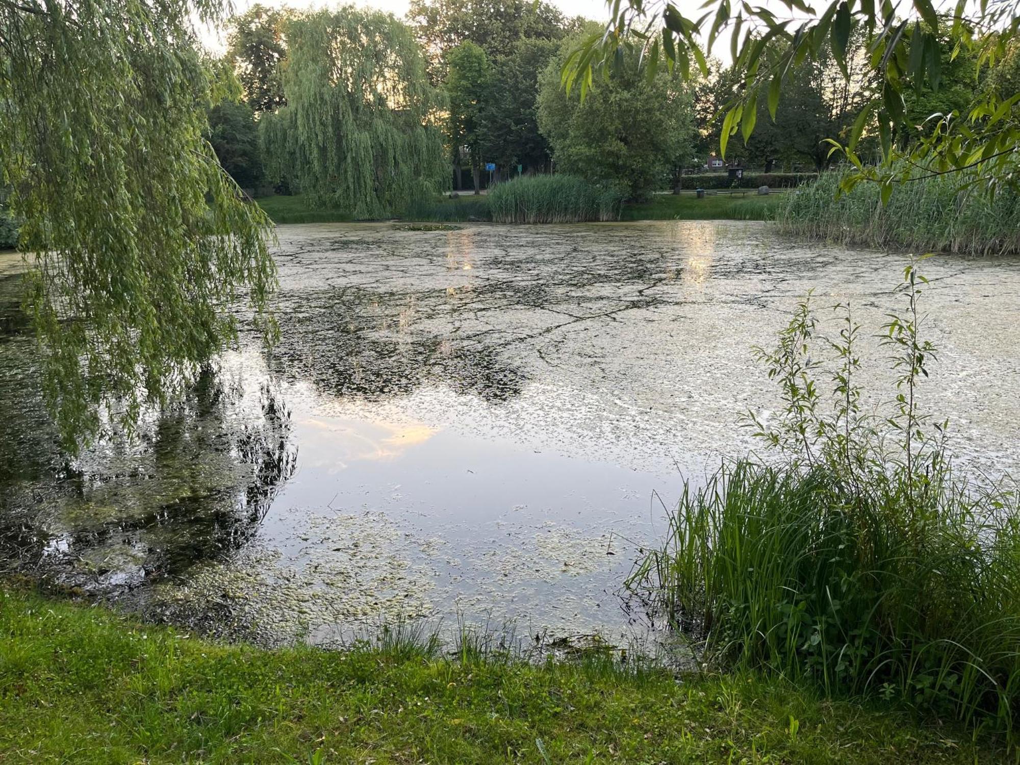 Pfarrhaus Tollensesee Penzlin Zewnętrze zdjęcie