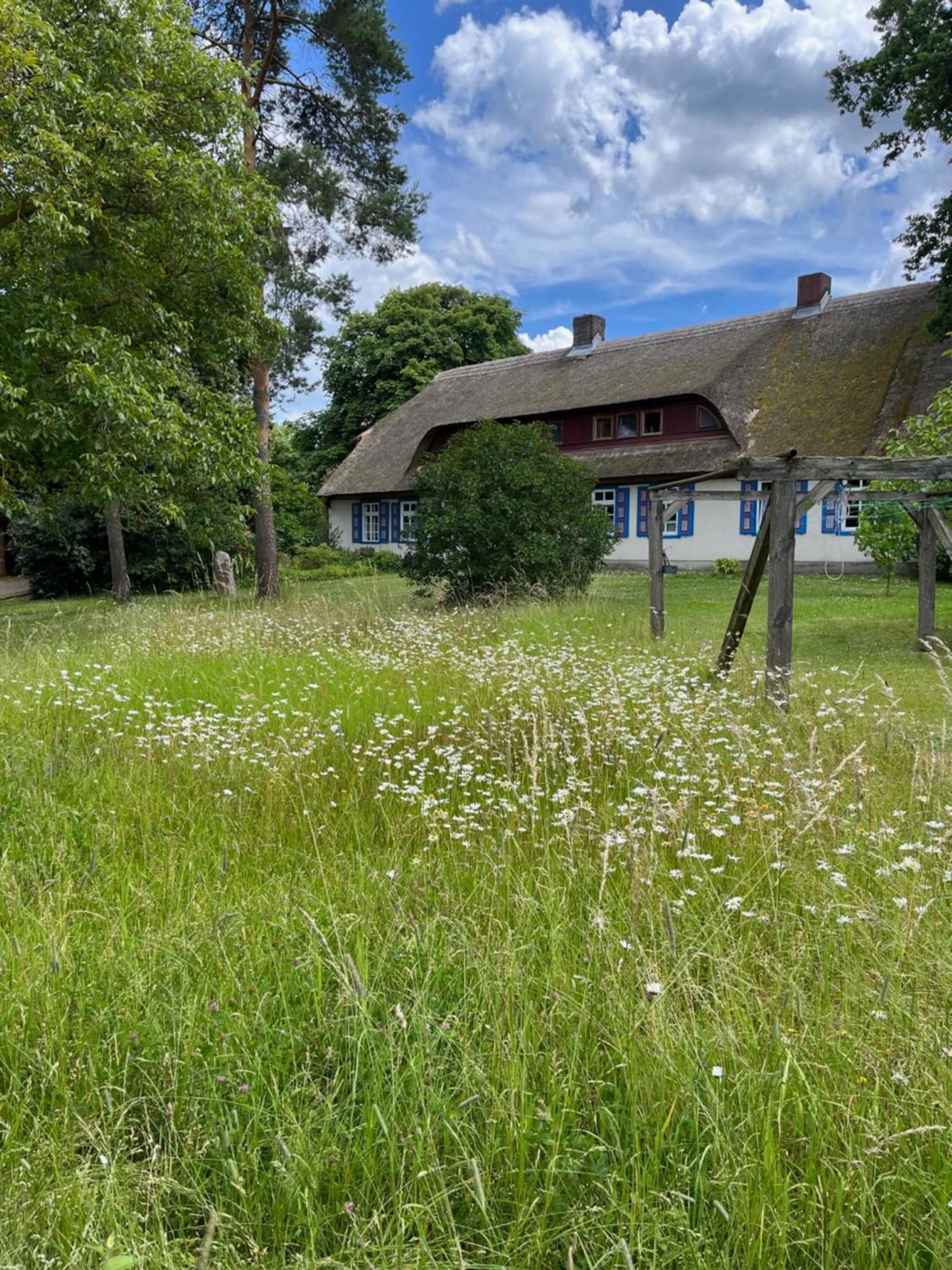 Pfarrhaus Tollensesee Penzlin Zewnętrze zdjęcie