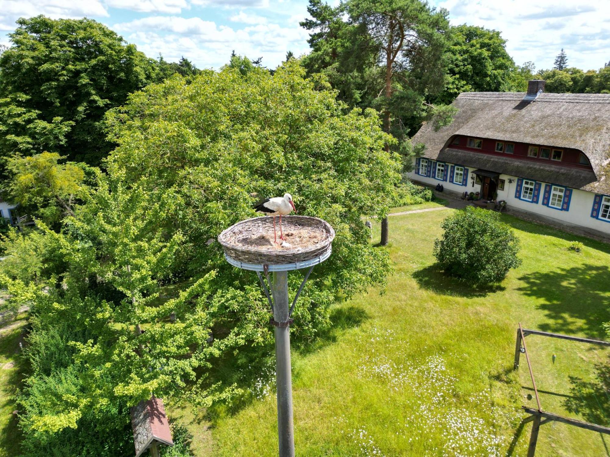 Pfarrhaus Tollensesee Penzlin Zewnętrze zdjęcie